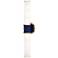 Kane 21.75" High Midnight Blue Finish Modern Brass Accent Wall Sconce