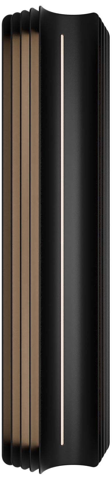 Kane 24"H x 6.3"W 1-Light Outdoor Wall Light in Black