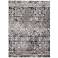Kano Distressed Indoor Gray Area Rug 3871F 4'-3" x 6'-3"