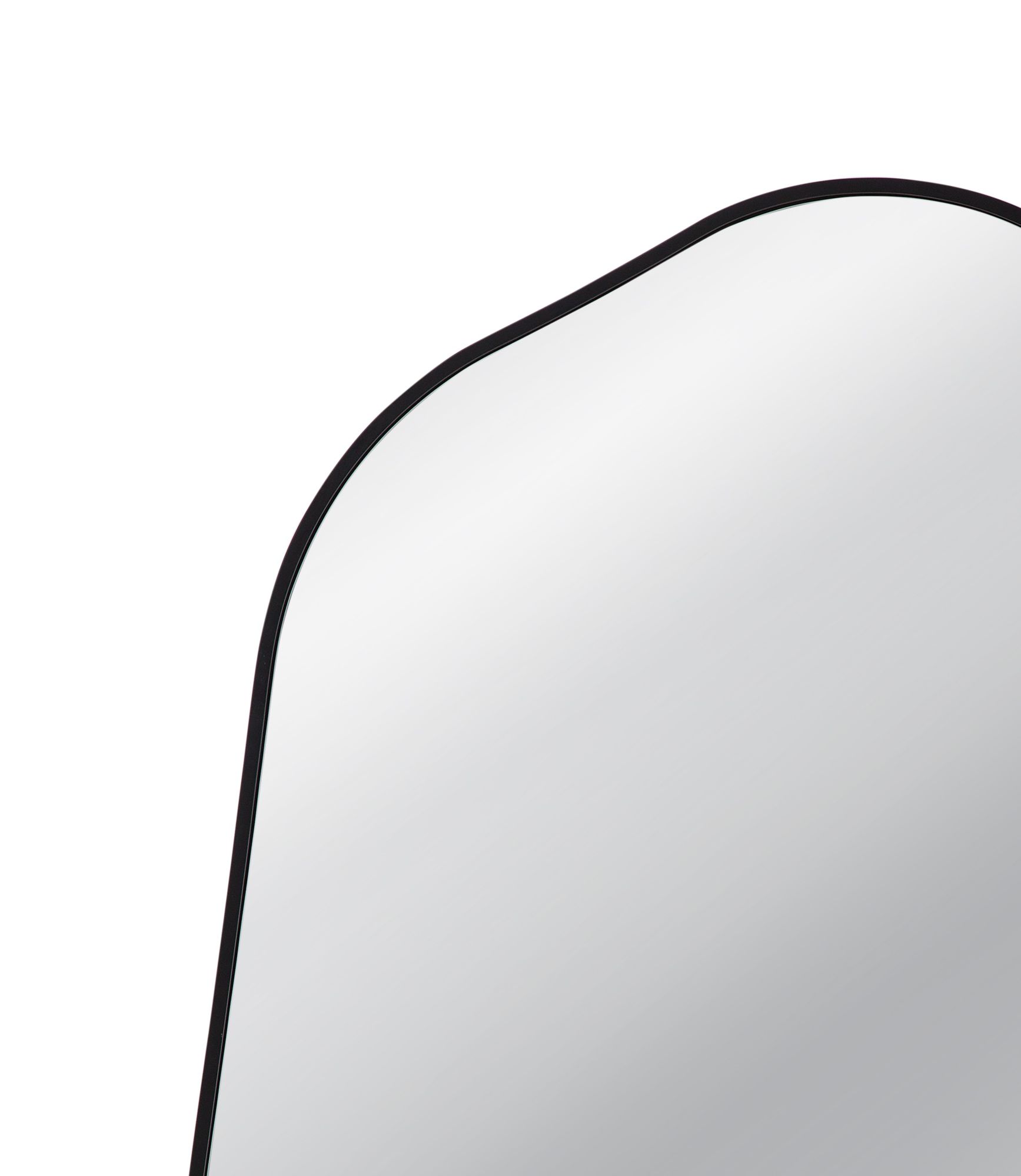 Karaniya Black 30" x 40" Asymmetrical Wall Mirror