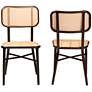 Katina Dark Brown Beige Outdoor Dining Chairs Set of 2