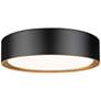 Kawan 12" Wide Matte Black LED Ceiling Light