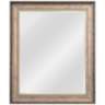 Kenroy Home Amiens Antiqued Gold 30" x 36" Wall Mirror
