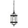 Kensington 1-Light Outdoor Hanging Lantern in Textured Black