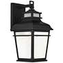 Kershaw 16" High Black Clear Glass Outdoor Wall Light
