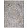 Nourison Royal Terrace KI46 Gray Blue Area Rug