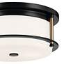3_Kichler Brit 12" Wide 2-Light Black and Champagne Bronze Ceiling Light more views