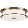 2_Kichler Brit 18" Wide Champagne Bronze Ceiling Light