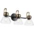 Kichler Farum 26" Wide 3-Light Black and Clear Dome Glass Bath Light