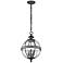 Kichler Halleron 18 1/2"H Seedy Glass Outdoor Hanging Light