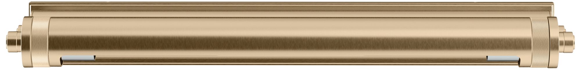 Kichler Kenton 24" 2-Light Picture Light in Champagne Bronze