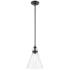 Kichler Laria 10.5 Inch 1 Light Pendant with Clear Glass in Black
