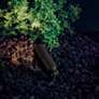 6_Kichler Low Voltage Mini Glow Accent Landscape Light more views