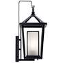 Kichler Pai 17 1/4" High Black Open Cage Outdoor Wall Light