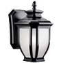 Kichler Salisbury 10 1/2" High Black Outdoor Wall Light
