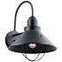 Kichler Seaside 16 3/4" High Black Outdoor Wall Light