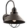 1_Kichler Seaside 16 3/4" High Olde Bronze Outdoor Wall Light