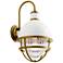 Kichler Tollis 21 1/4"H White and Brass Outdoor Wall Light