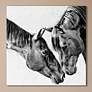 1_Kindred Colts 38" Square Frameless Printed Glass Wall Art