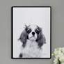 1_King Charles Spaniel 24"x18" Printed Glass Framed Wall Art