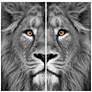 3_King of the Jungle AB 72" High 2-Piece Glass Wall Art Set