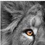 4_King of the Jungle AB 72" High 2-Piece Glass Wall Art Set more views