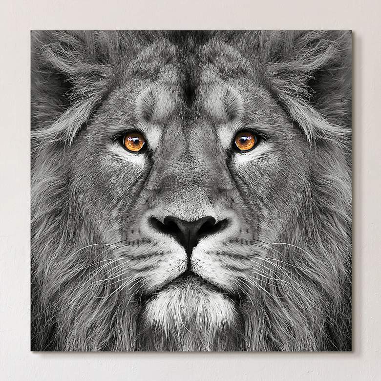 Image 1 King of the Jungle Lion 38 inch Square Glass Graphic Wall Art