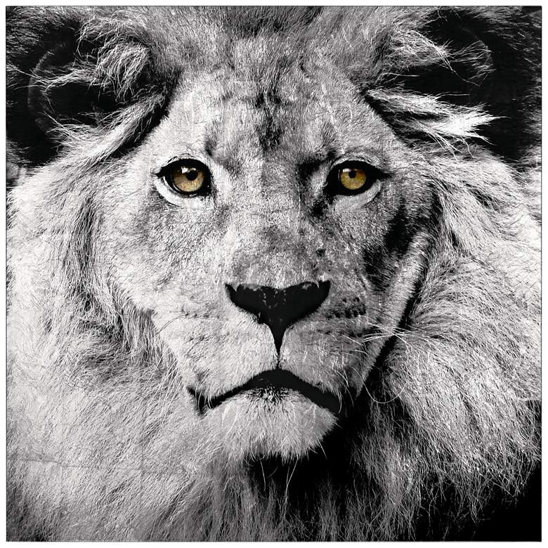 Image 2 King of the Jungle Reverse Printed Tempered Glass with Silver Leaf Wall Art