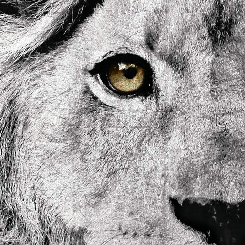 Image 3 King of the Jungle Reverse Printed Tempered Glass with Silver Leaf Wall Art more views