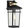 Kingsley Outdoor Wall Lantern in Matte Black with Warm Brass Accents