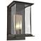 Kingston Outdoor Medium Sconce - Smoke - Gold Accents - Clear Glass