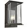 Kingston Outdoor Medium Sconce - Smoke - Platinum Accents - Clear Glass