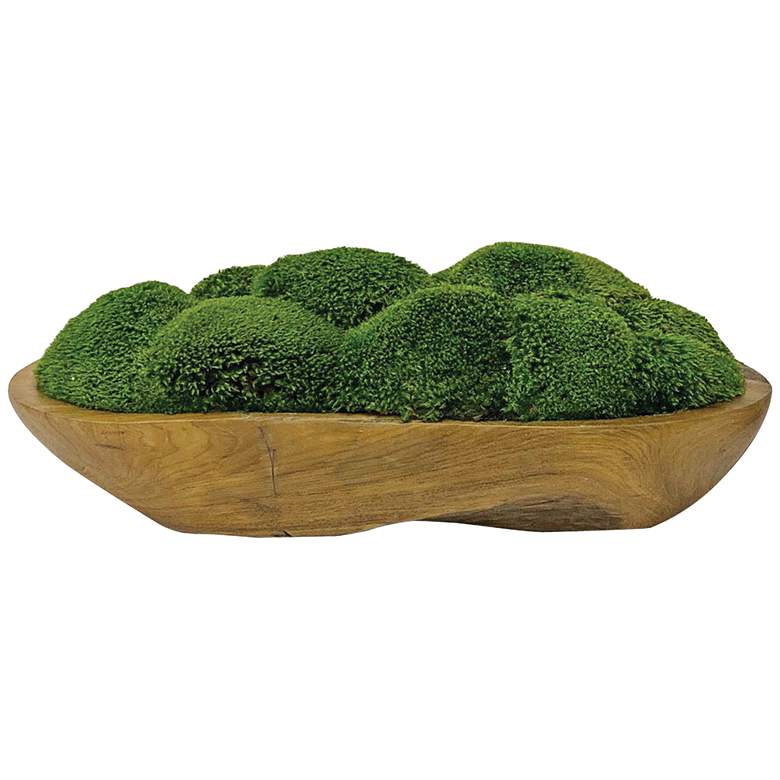 Image 1 Kinsale Green Moss 19 inch Wide Centerpiece in Natural Wood Bowl