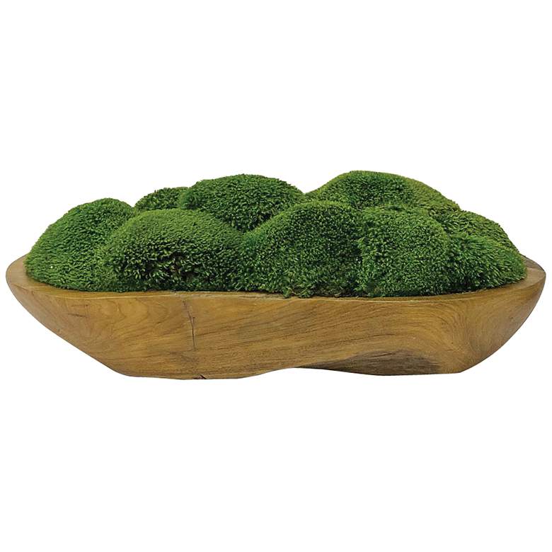 Image 1 Kinsale Green Moss 19 inch Wide Centerpiece in Natural Wood Bowl