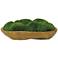 Kinsale Green Moss 19" Wide Centerpiece in Natural Wood Bowl
