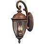 Knob Hill Collection 24 1/2" High Outdoor Wall Light