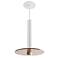 Koncept Combi Pendant 12" Single White 9" glass plate ( Brown)
