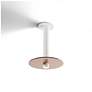2_Koncept Combi Pendant 12" Single White 9" glass plate ( Brown) more views