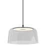 1_Koncept Yurei Single Pendant Lamp Black w 14" Shade Clear