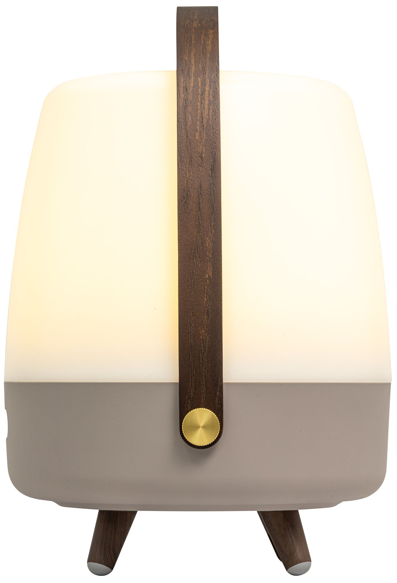 Kooduu Lite Up Play- Earth Lamp, Sound by JBL