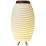 Kooduu Synergy 50 Lamp, Cordless rechargeable indoor/outdoor speaker Lamp