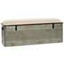 Kressen 50"W Distressed Galvanized Gray Metal Storage Bench