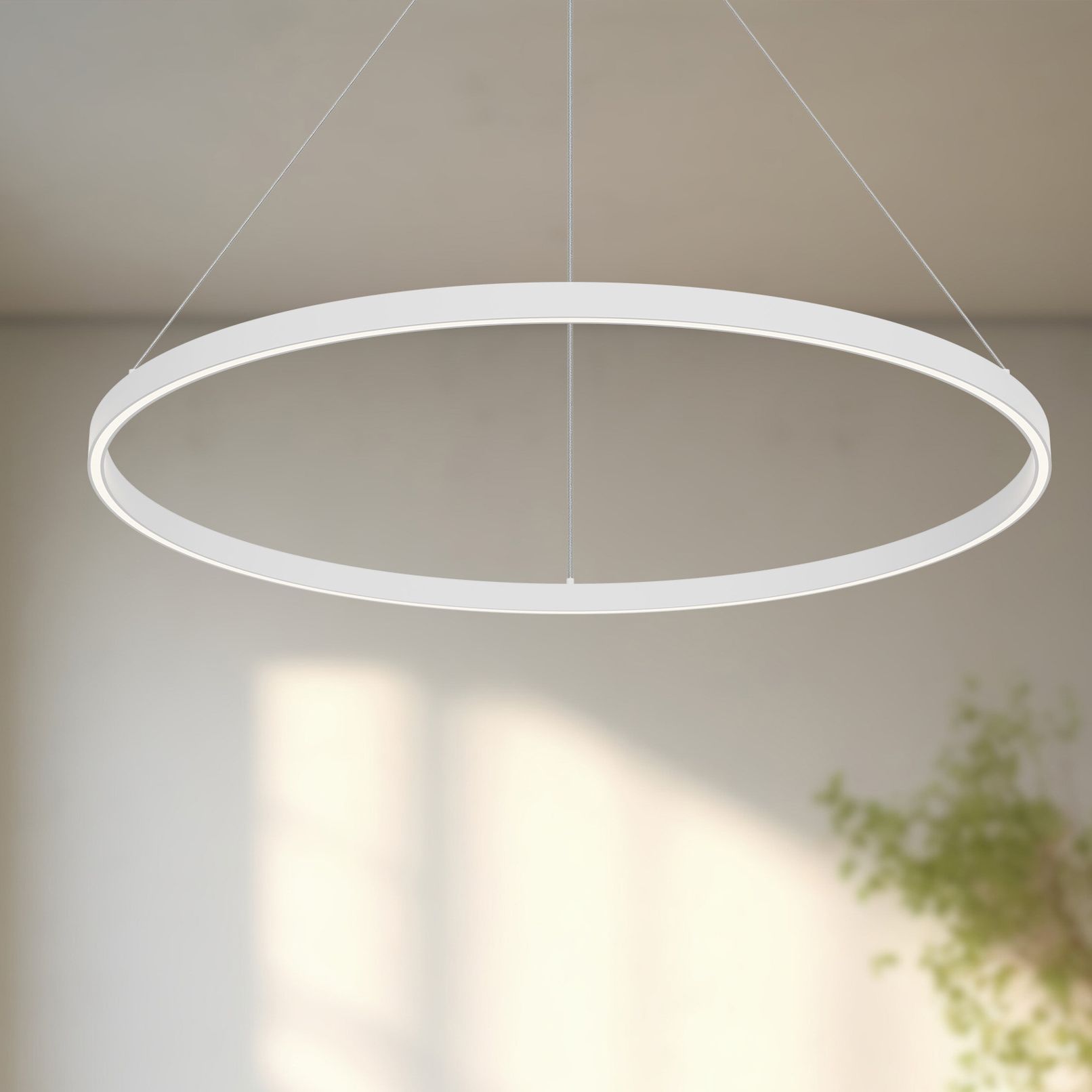 Kuzco Cerchio White Collection