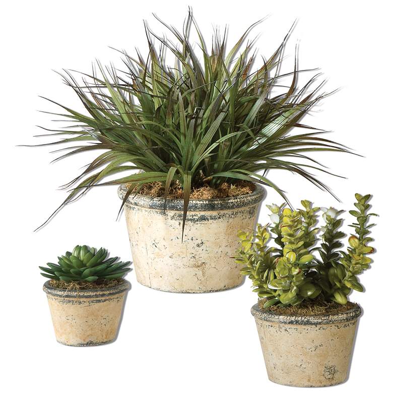 Image 1 La Costa Set of 3 Greenery