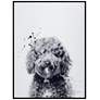 2_Labradoodle 24"x18" Printed Glass Framed Wall Art