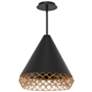 Lacey 15.88"H x 15.75"W 1-Light Pendant in Black