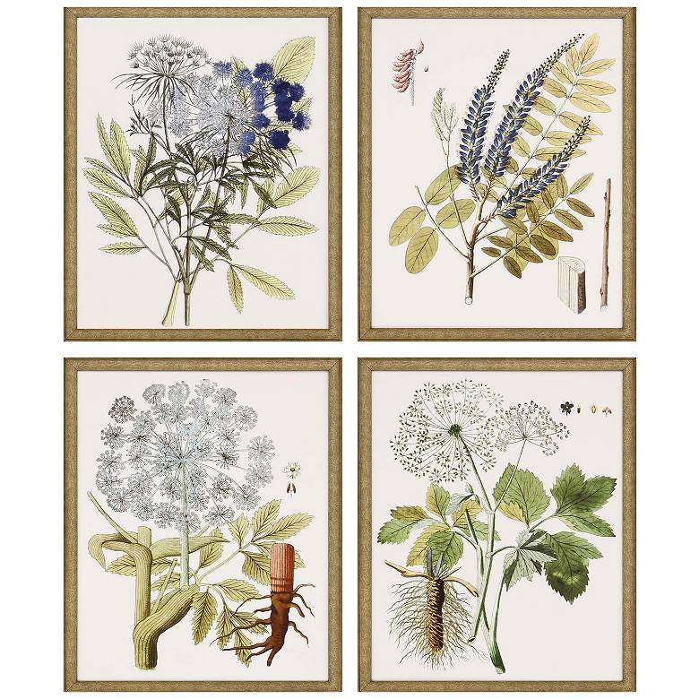 Image 1 Lacy Leaves 17"W x 21"H Framed Art Set of 4