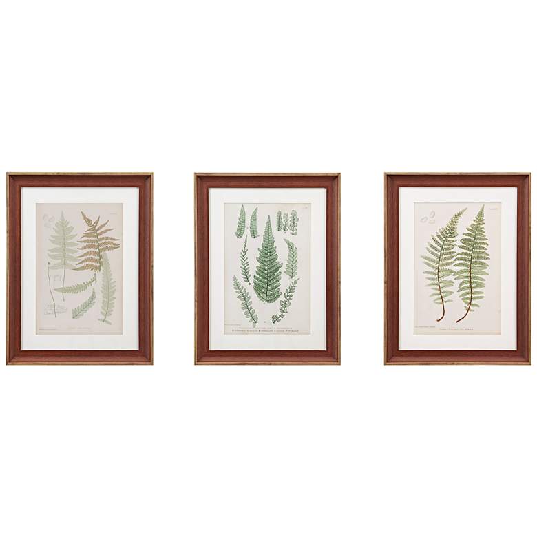 Image 2 Lady Fern 24 3/4" High 3-Piece Framed Wall Art Set