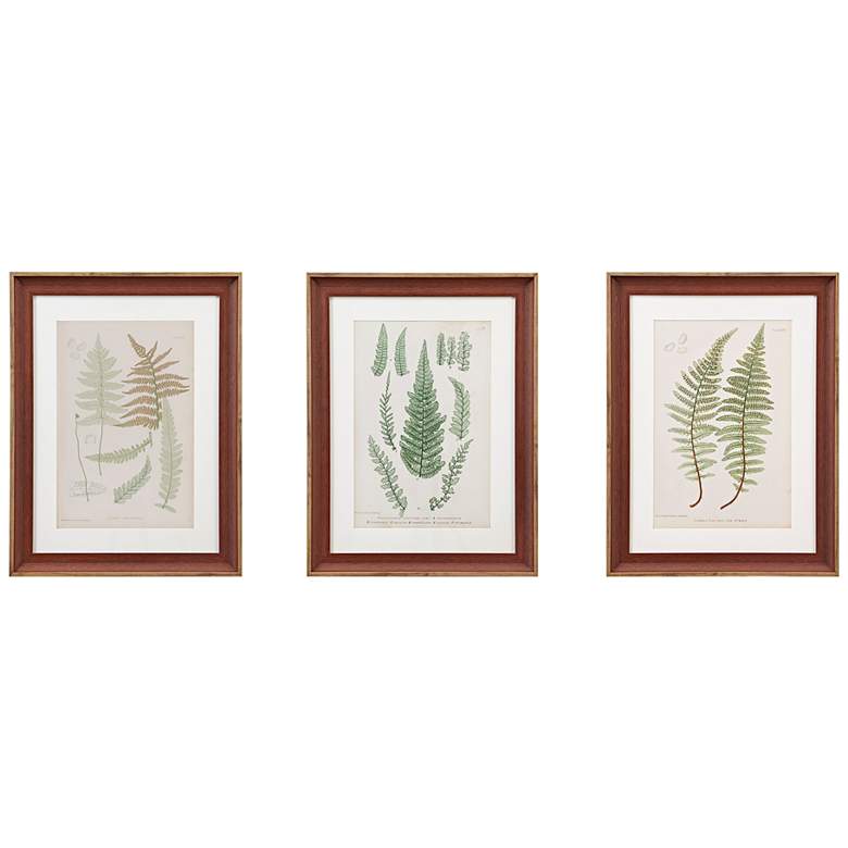 Image 2 Lady Fern 24 3/4 inch High 3-Piece Framed Wall Art Set