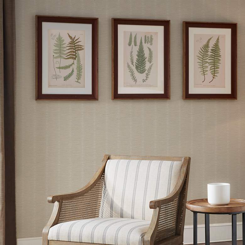 Image 1 Lady Fern 24 3/4 inch High 3-Piece Framed Wall Art Set